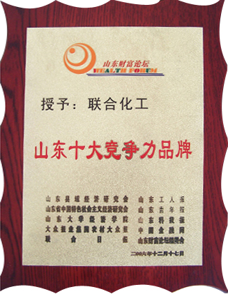 山（shān）東十大競爭力（lì）品牌
