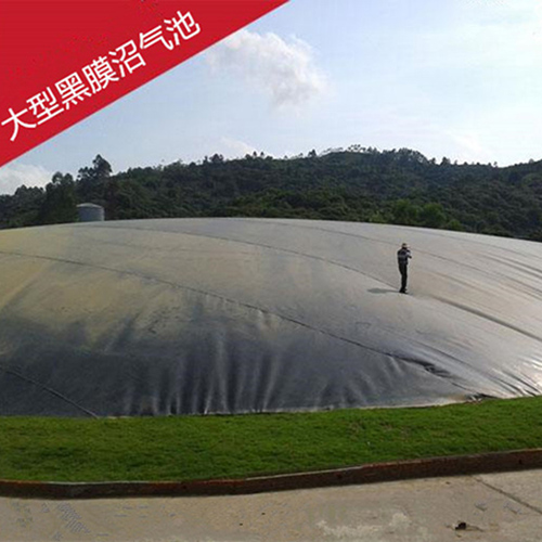 開創雲全域建站