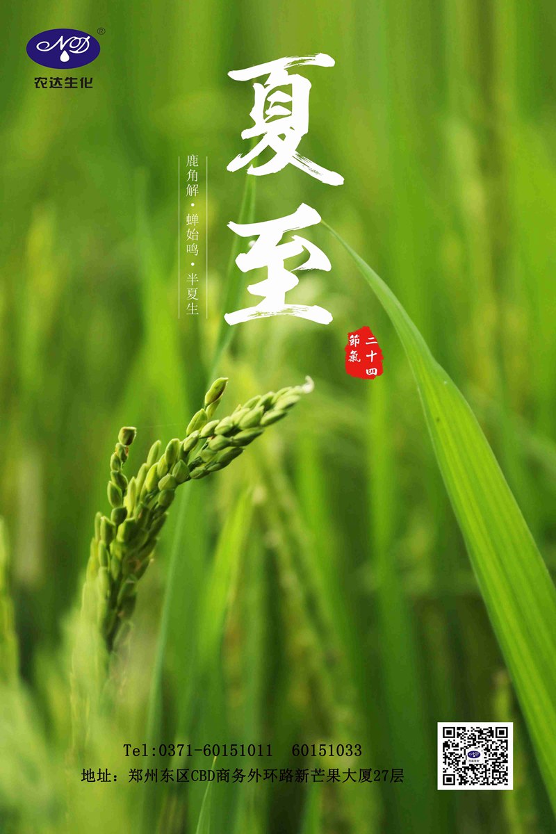 關注（zhù）農時——夏至(圖1)