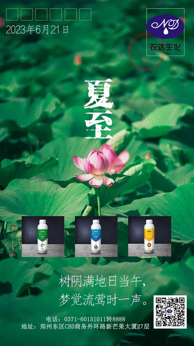 今（jīn）日夏至(圖1)