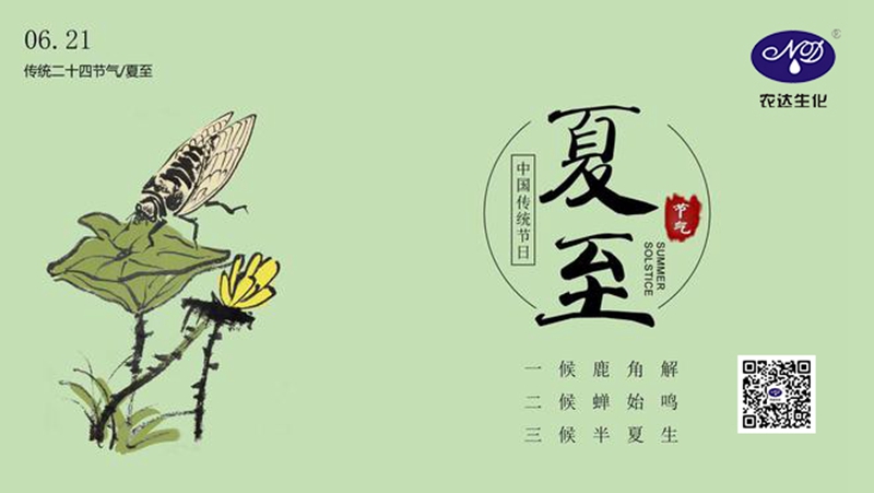 今日夏至（zhì）(圖2)