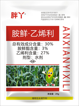 胖（pàng）丫  30%胺鮮·乙烯利(圖1)