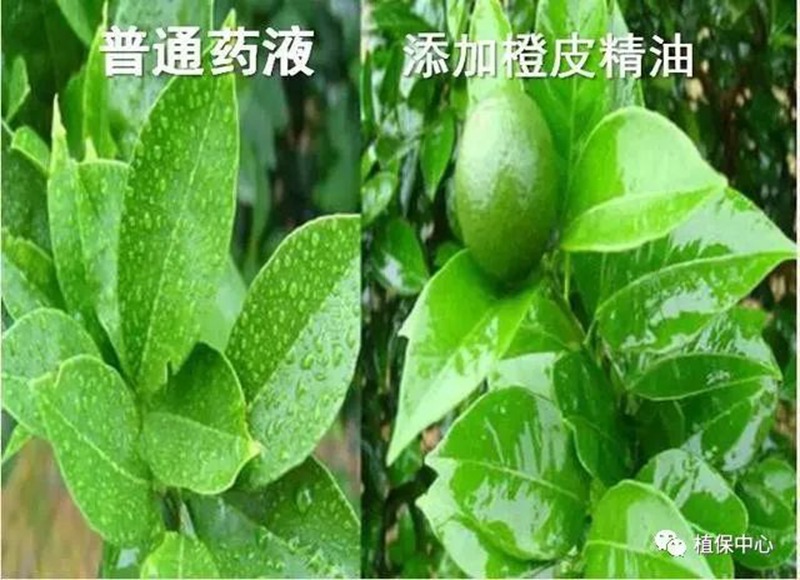 農藥成分和含量一模一（yī）樣，為啥效果（guǒ）差別那麽大？(圖3)